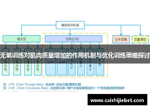 无氧训练对肌肉质量增加的作用机制与优化训练策略探讨