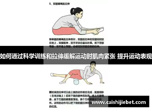如何通过科学训练和拉伸缓解运动时肌肉紧张 提升运动表现